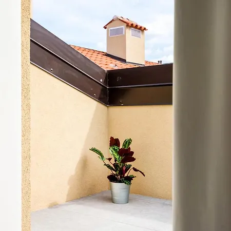 Joivy Premium - Mazzini * Terst