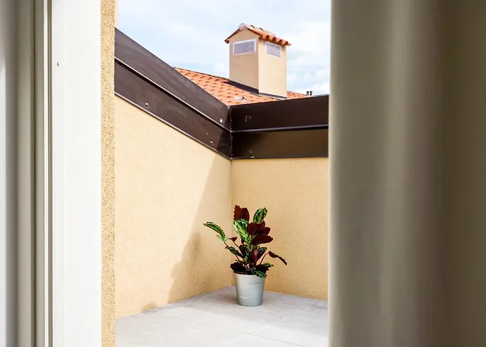 Joivy Premium - Mazzini * Trieszt